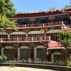 Architectural elements of Norbulingka Complex